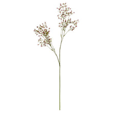 SMALL PURPLE WILDFLOWER STEM