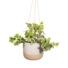 RIBBED HANGING PLANTER