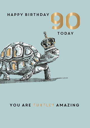 90 TURTLEY AMAZING