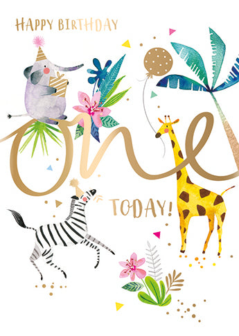 1 TODAY ANIMALS