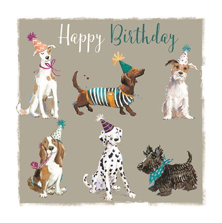 HAPPY BIRTHDAY DOGS