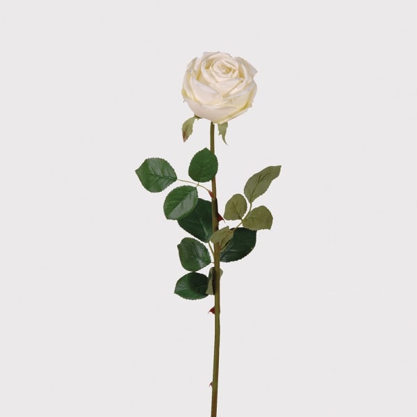 WHITE ROSE STEM