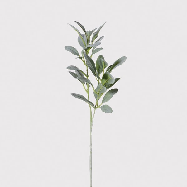 NATURAL LAMB'S EAR LEAF SPRAY