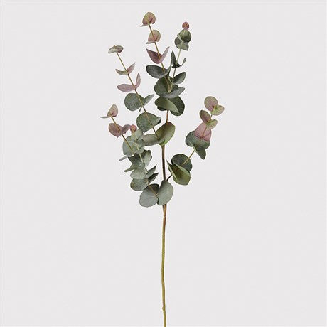 NATURAL BLUSH EUCALYPTUS SPRAY