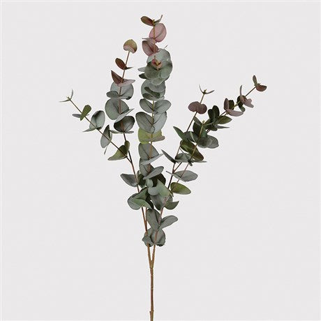 LARGE NATURAL BLUSH EUCALYPTUS SPRAY