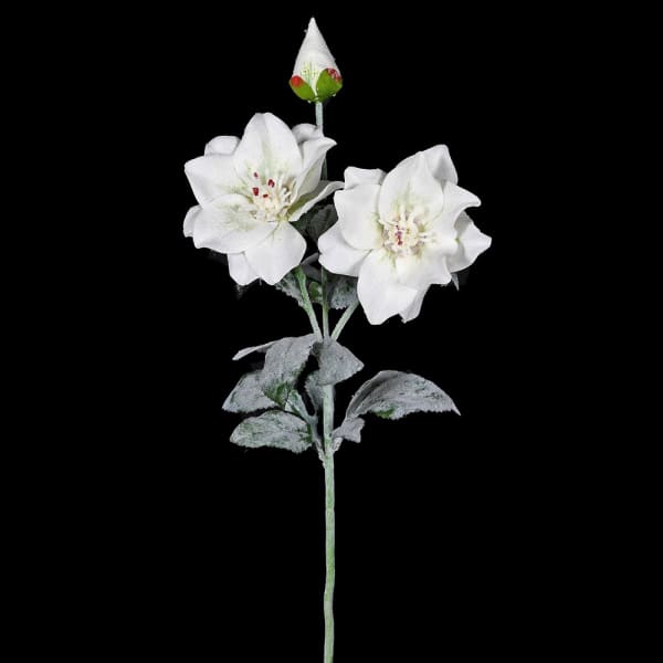 WHITE CHRISTMAS ROSE STEM