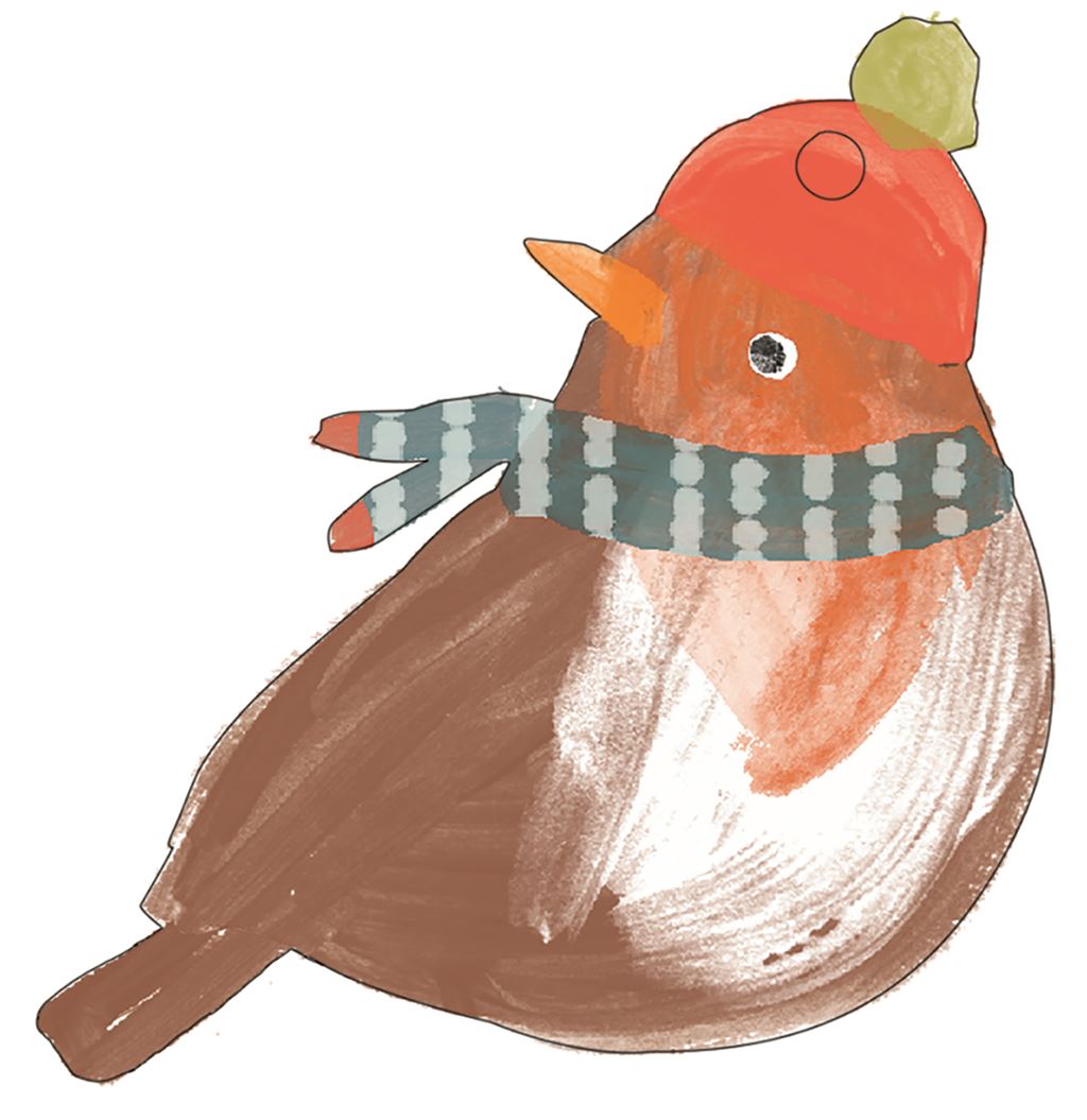 ROBIN GIFT TAG PACK