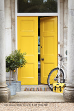 Little Greene - 47. Mister David