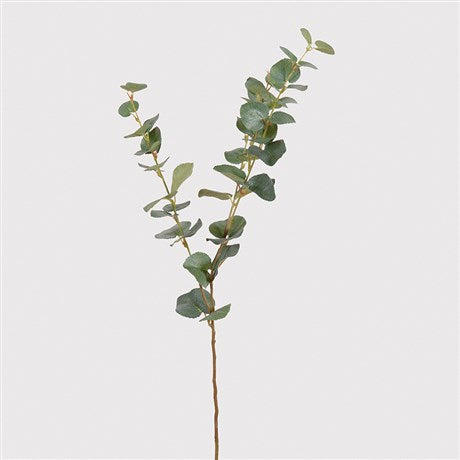 NATURAL EUCALYPTUS SPRAY