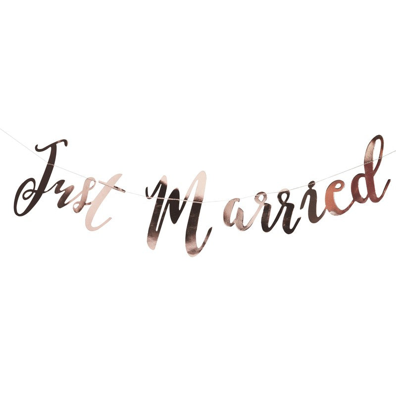 JUST MARRIED BANNER