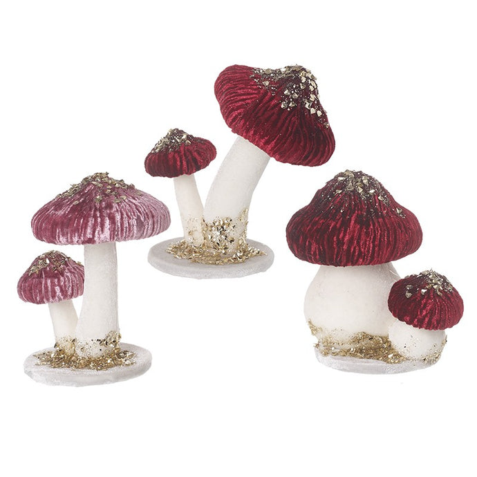 DOUBLE VELVET MUSHROOMS