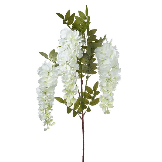 WISTERIA BRANCH