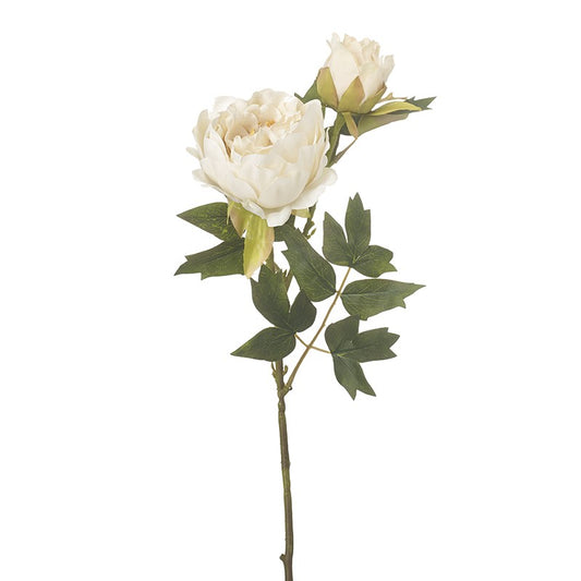 WHITE PEONY SPRAY