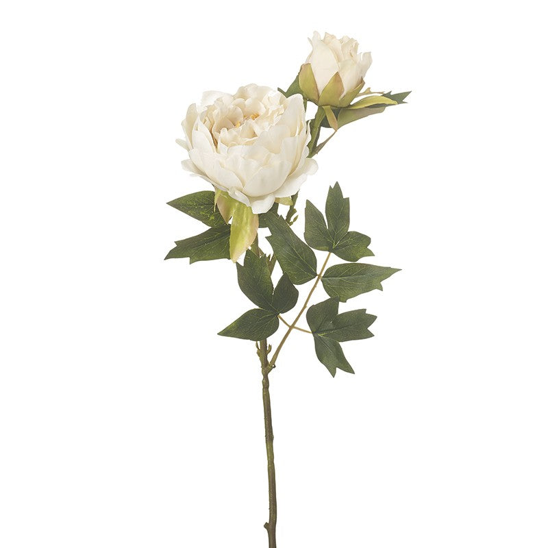 WHITE PEONY SPRAY