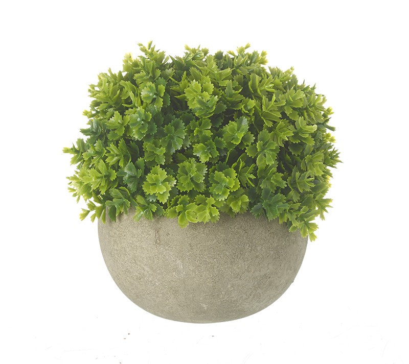 GREEN POTTED PLANT