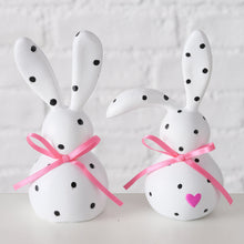 WHITE SPOTTED BUNNY