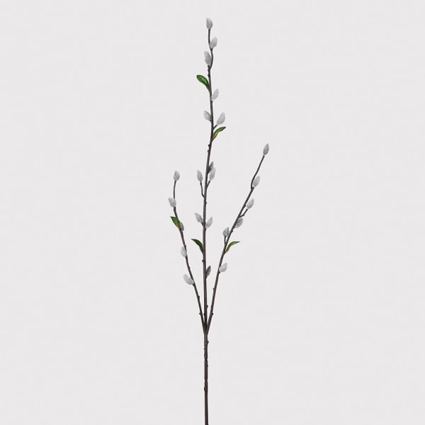 PUSSY WILLOW SPRAY