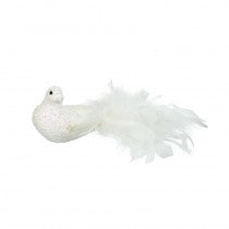 WHITE DOVE WITH FEATHERED TAIL